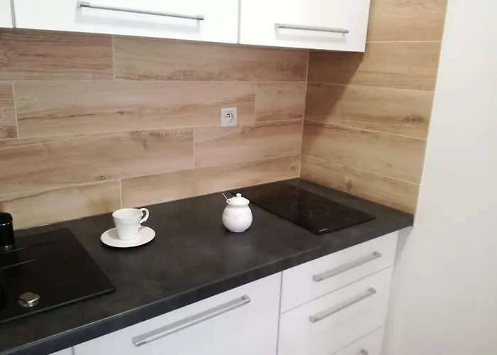 Novitas 브로츠와프