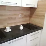 Novitas Wrocław