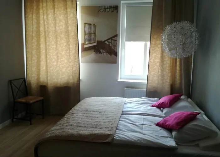 Novitas فروتسواف